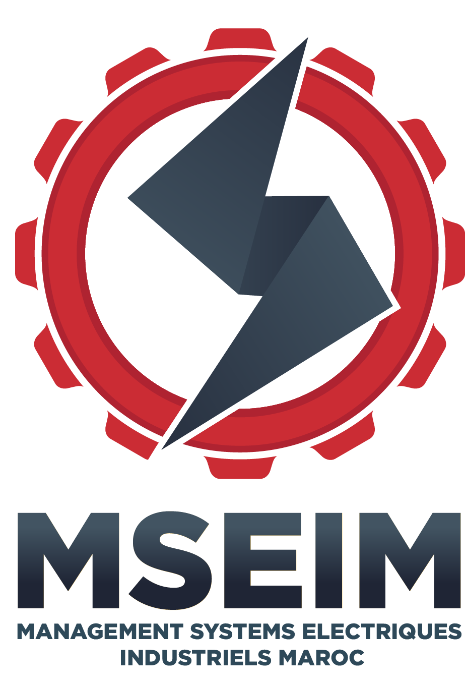 MSEM